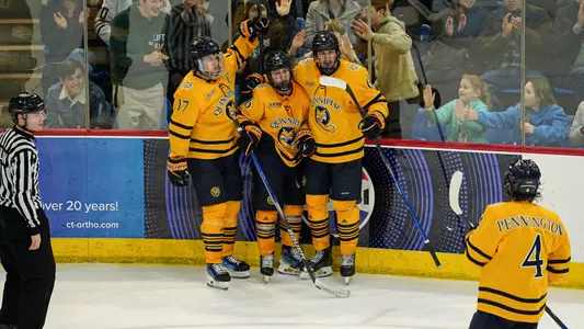Men's Hockey Celebration vs. AIC (12/29 in Hamden)