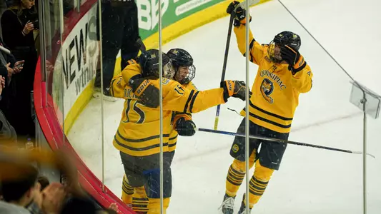 Men's Ice Hockey Celebrates Goal vs. AIC (12/29 in Hamden, Conn.)