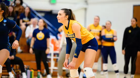 Yagmur Gunes (8.30 Recap)