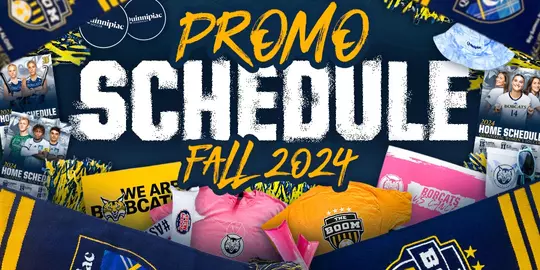 Fall Promo Schedule - Page Header