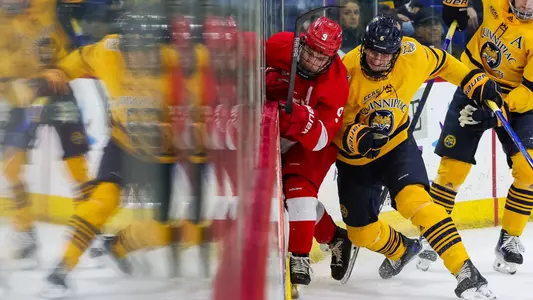 Charlie Leddy Battles for a Puck vs. Cornell (Jan. 18, 2025 in Hamden, Conn.)