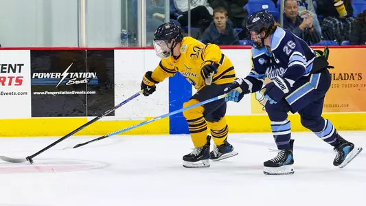 Mason Marcellus Fights for the Puck Against Maine (Oct. 17, 2025 in Hamden, Conn.)