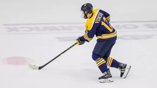 Markus Vidicek Skates with the Puck (Nov. 8, 2025 in Providence, R.I.)
