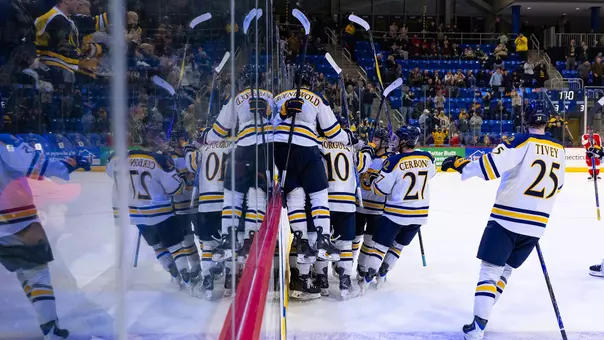 Quinnipiac Celebrates the Game-Winning Goal Against RPI (Jan. 10, 2026 in Hamden, Conn.)