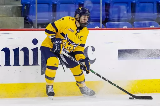 Kati Tabin skating vs RPI (11.22.2019 in Hamden, CT)