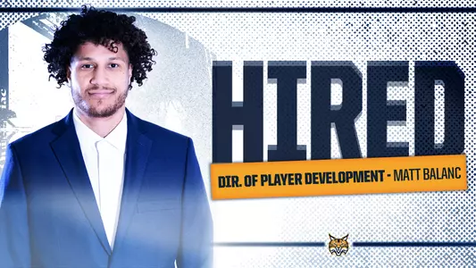 Balanc Graphic - Player Development