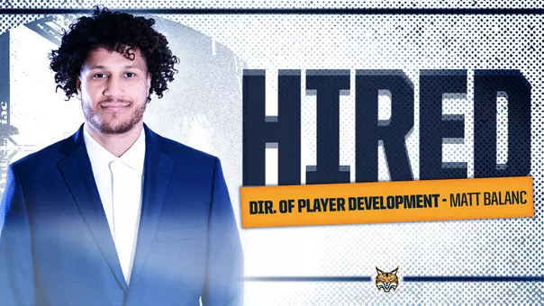 Balanc Graphic - Player Development