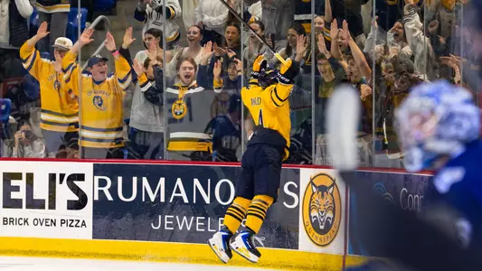 Dylan Edwards Jumps into the Boards After a Goal against New Hampshire (Oct. 2, 2026 in Hamden, Conn.)