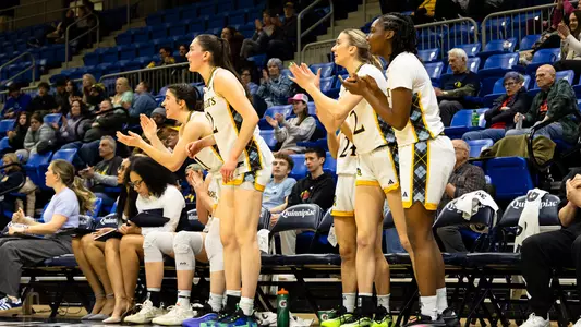 WBB Bench Celebrates in Win over Niagara (Feb. 26 in Hamden, Conn.)