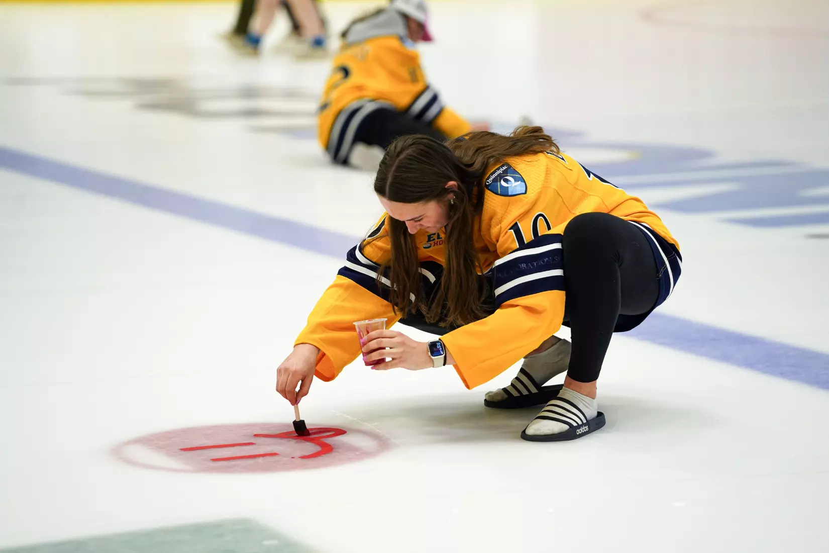2026 Paint the Ice Night at M&T Bank Arena