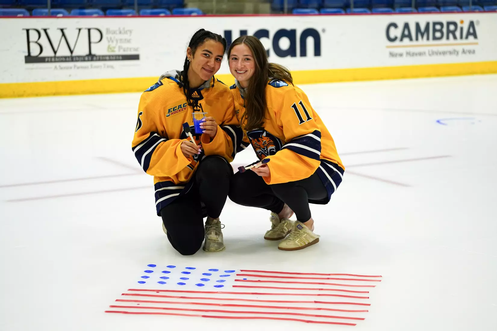 2026 Paint the Ice Night at M&T Bank Arena