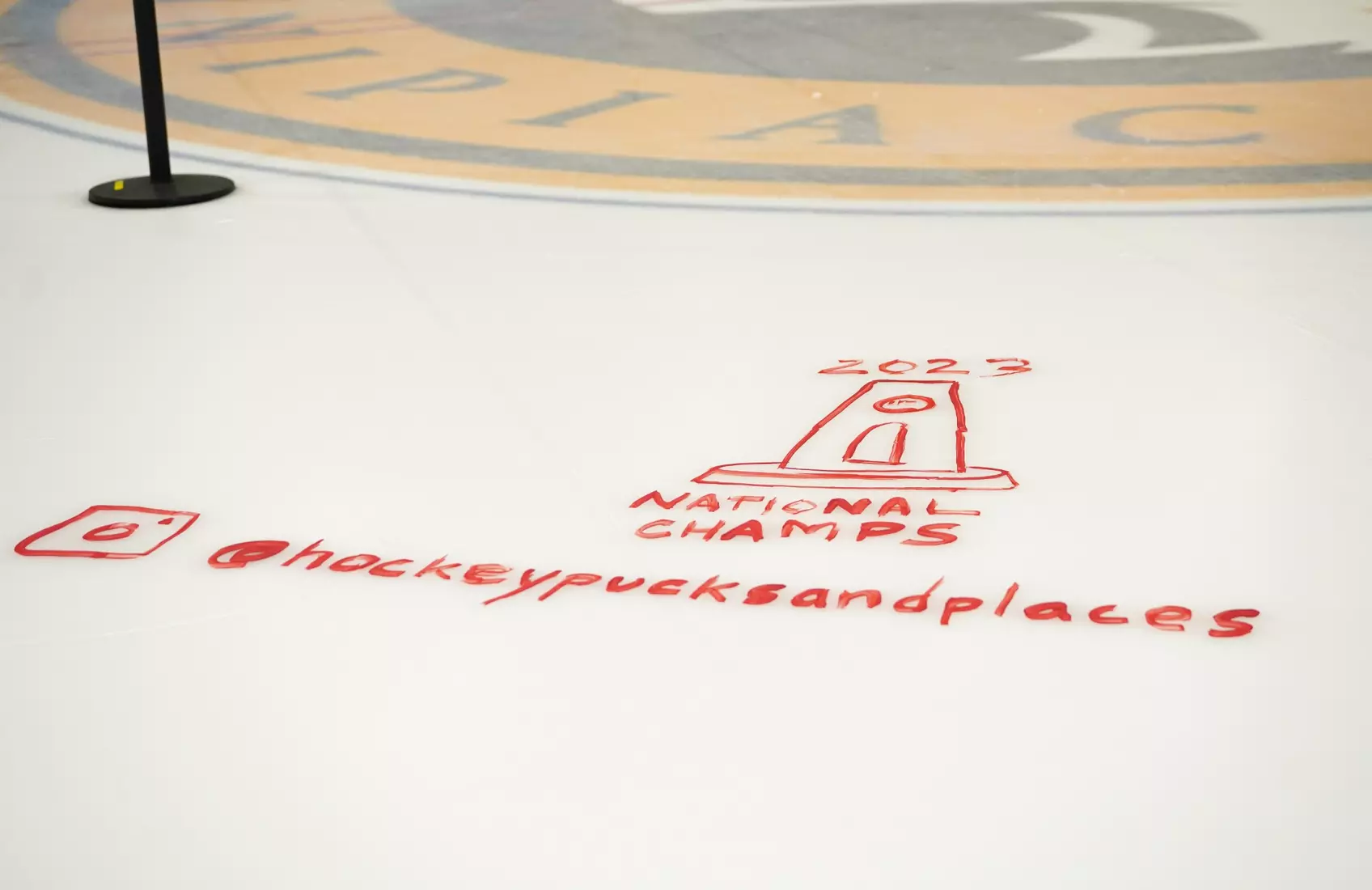 2026 Paint the Ice Night at M&T Bank Arena