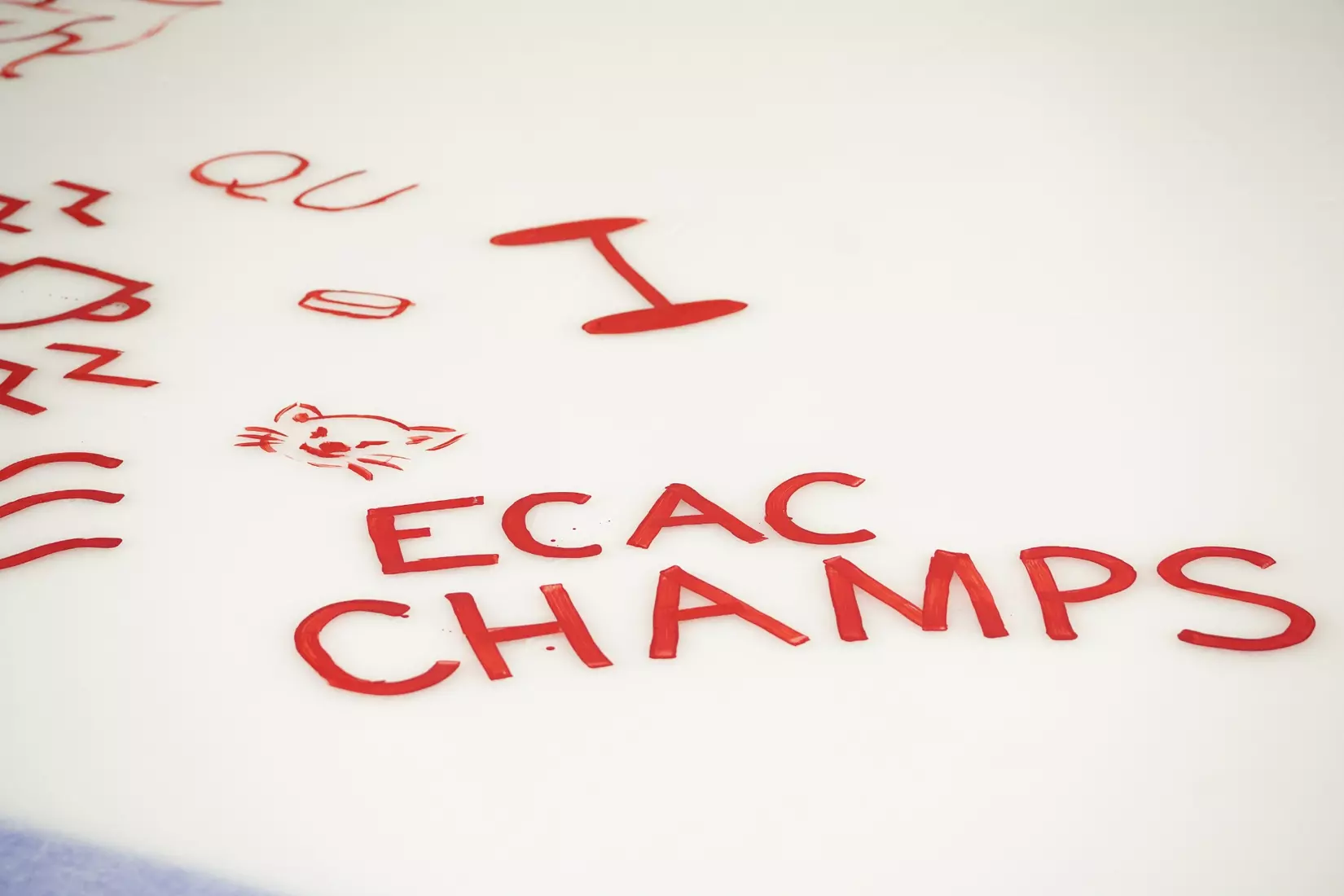 2026 Paint the Ice Night at M&T Bank Arena