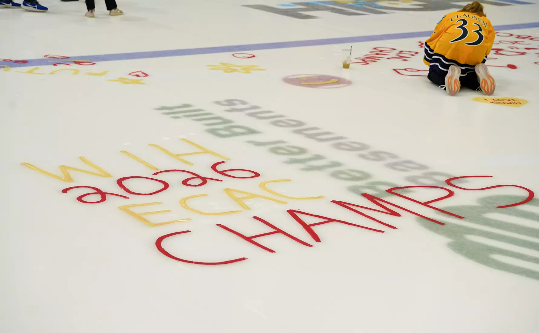 2026 Paint the Ice Night at M&T Bank Arena