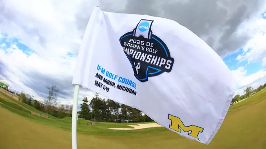 Ann Arbor Regional Flag Blows in Wind (May 11-13 in Ann Arbor, MI)