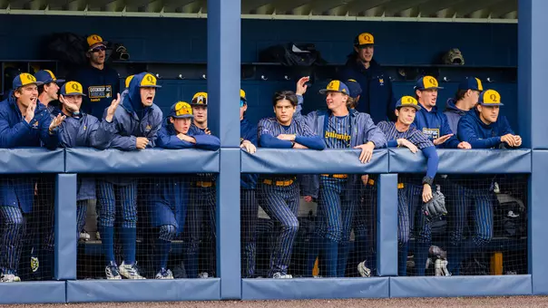 Baseball Dugout Picture Against Fairfield (May 3, 2026 in Hamden, Conn.)