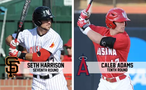 Adams_Harrison 2014 MLB Draft