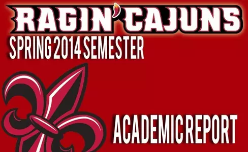 2014 Spring Academic Report
