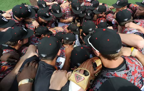 2014 Baseball Huddle Shot