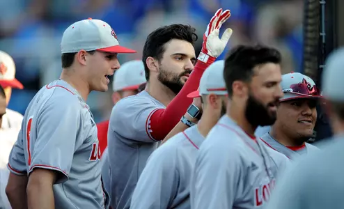 Baseball Celebration