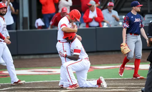 Baseball Celebration