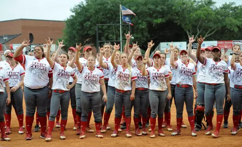 Softball Celebration