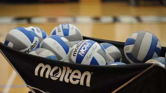 Volleyball Generic Photo January 2020