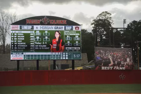 lamson park videoboard