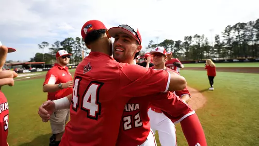 Baseball Celebration