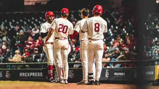 Baseball Celebration