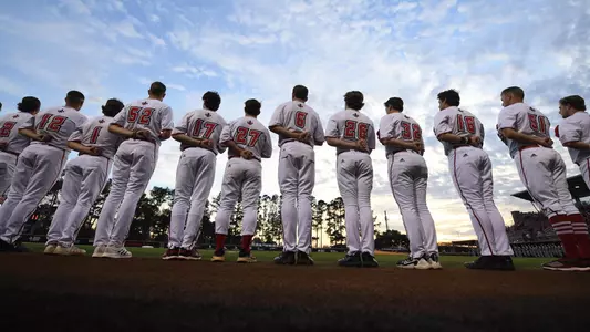 Baseball Lineup