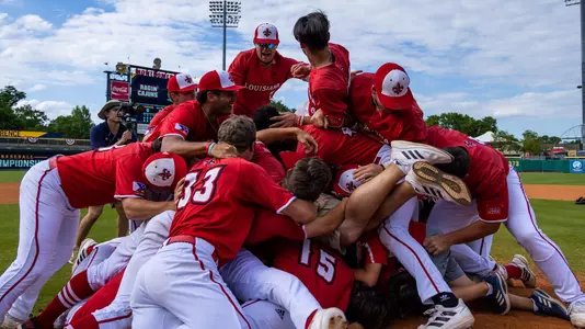Baseball Dogpile
