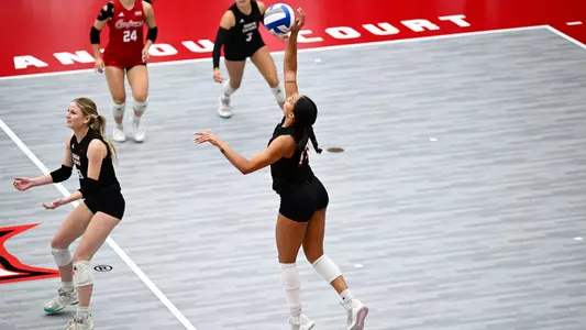 VB Jazmine Gaston Bio Photos 2025