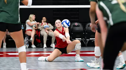 VB Sophia Armstrong Bio Photos 2025