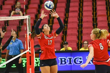 StonyBrook Preview