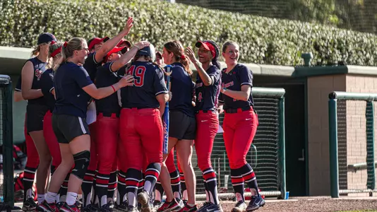 home run celebration