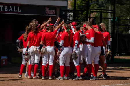 Softball Preview
