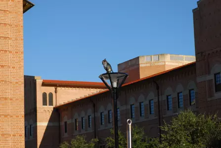 <b>Sammy had the best seat in the house for practice Monday.</b>