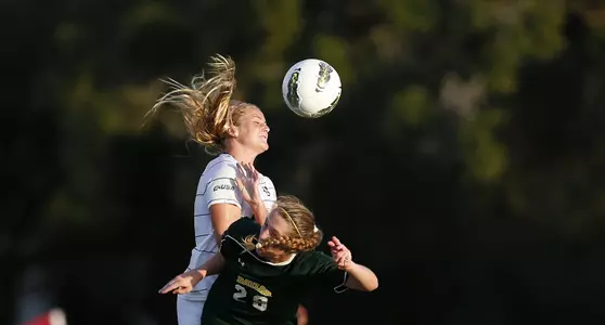 <b>The Owls and Bears were on a collision course Friday night.</b>