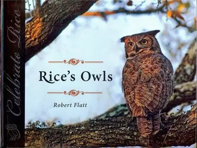 <i><b>A great horned owl from the book's cover</i></b>