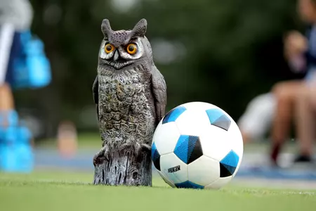 2016 Rice Soccer
generic Owl bal