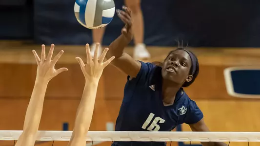 Anota Adekunle