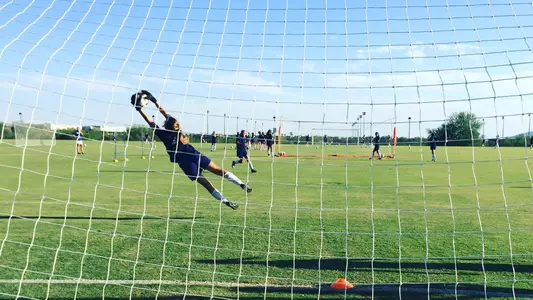 Rowe, Taylor action 2