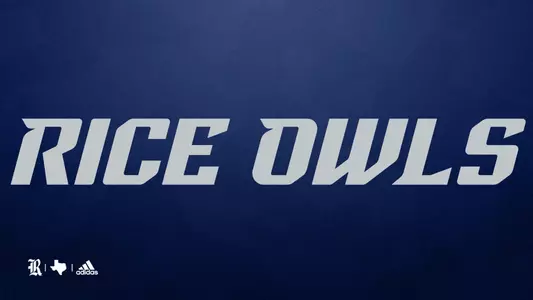 Rice Owls Gray