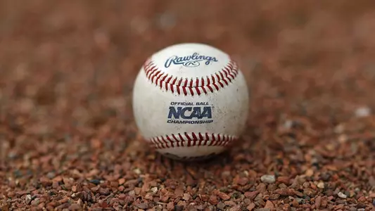 generic baseball 2019