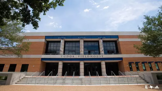 Tudor Fieldhouse Zoom Wallpaper