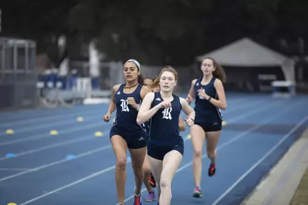 Hunter-Galvan, Halow