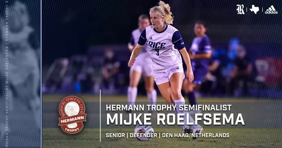 Roelfsema, Mijke graphic Hermann