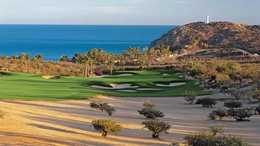 Cove Club