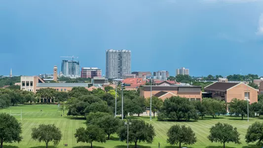Rice Intramural Fields
